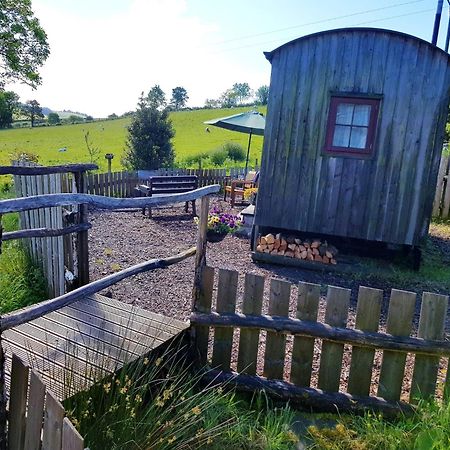 Eco Accommodation Cornflower Holiday クレイブン・アームス エクステリア 写真